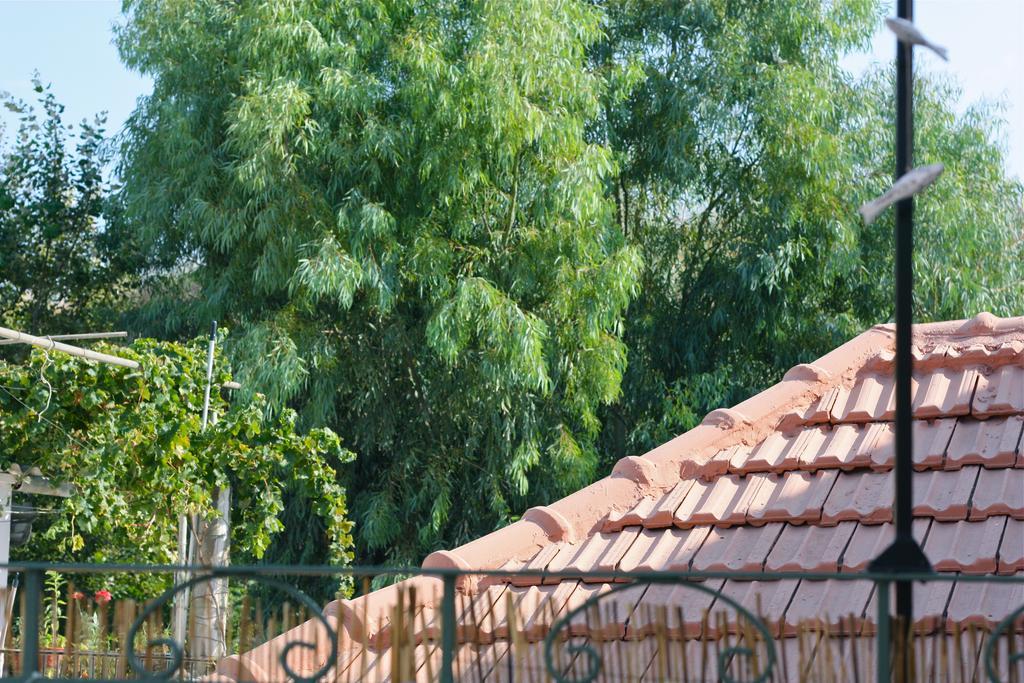 Willa Casa Flora Old Town Chania  Zewnętrze zdjęcie